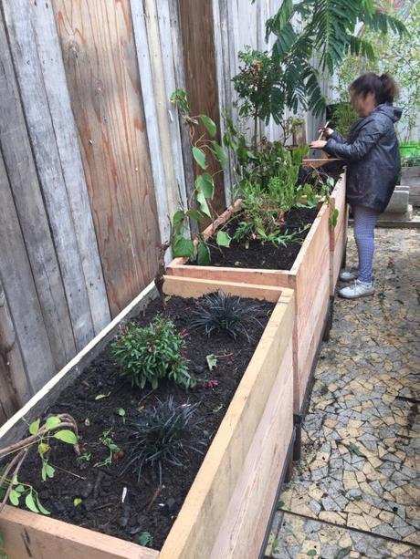 Guerilla Gardening - La révolution verte