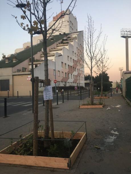 Guerilla Gardening - La révolution verte