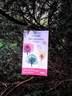 Grandir avec les arbres