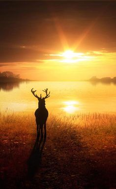 L'hiver est-il la fin ?