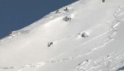 Envisageons des mesures restrictives sur les âneries du gouvernement