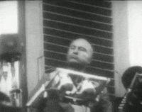 Envisageons des mesures restrictives sur les âneries du gouvernement