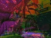 Dreams Jessy Yasmeen