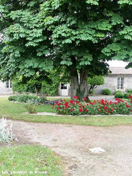 LE CHÂTEAU D’APREMONT (suite) apremont 9