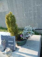 MON PHARE amour,amant,mari,amitié,poésie,poète,poème,deuil