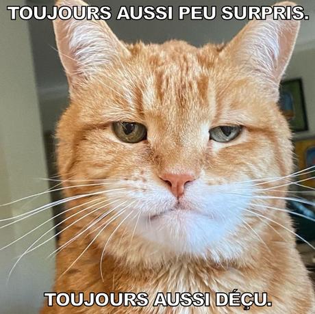 Youpi les vaccins arrivent !