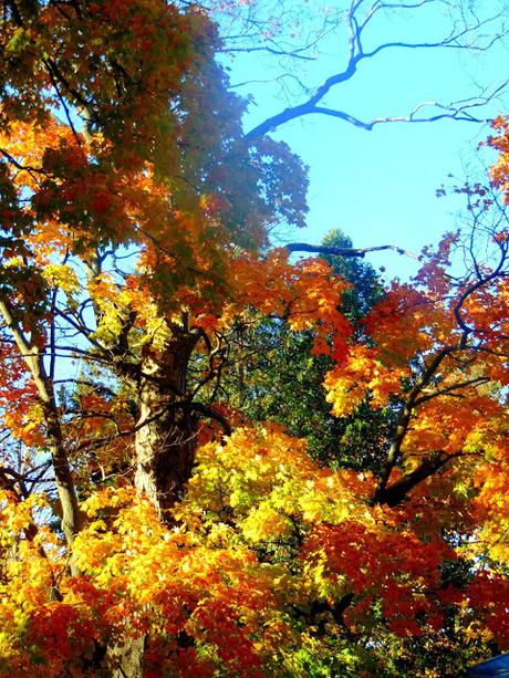 Soupe d'inspiration haÏtienne Soupe d'inspiration haÏtienne