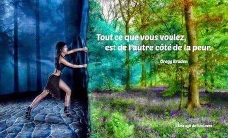 Tout ce que vous voulez + cadeau !