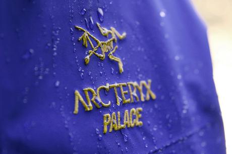 Palace et Arc’teryx livrent leur première collaboration