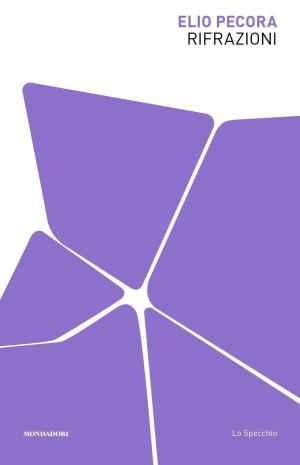 Elio Pecora | Lo spessore dell’ombra Elio Pecora | Lo spessore dell’ombra