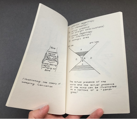 Le premier livre de Jenny Holzer Le premier livre de Jenny Holzer