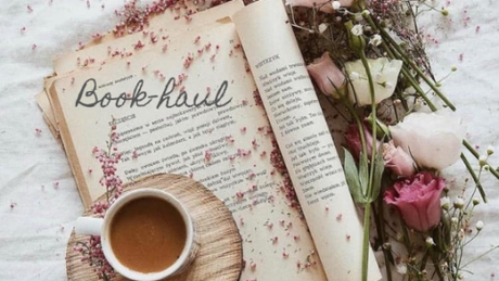 Book-haul – Novembre 2020