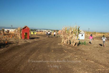 Corn Maze, le plus grand labyrinthe de maïs du monde est en Californie !