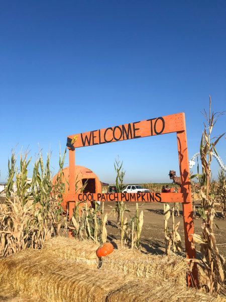 Corn Maze, le plus grand labyrinthe de maïs du monde est en Californie !