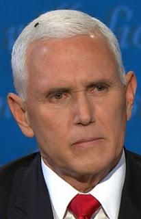 La mouche sur les cheveux de Mike Pence …