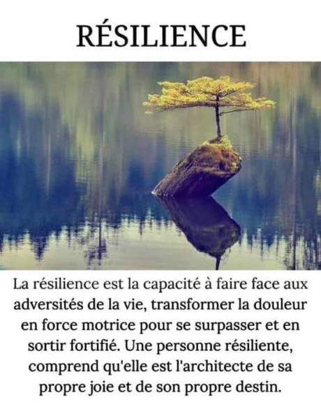 Résilience + cadeau !
