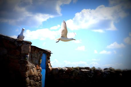 j'ai oublié de penser