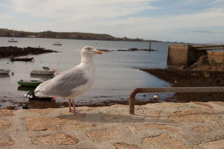 j'ai oublié de penser
