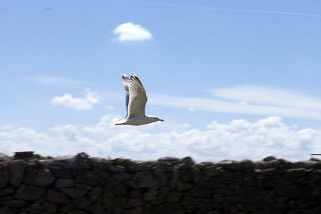 j'ai oublié de penser