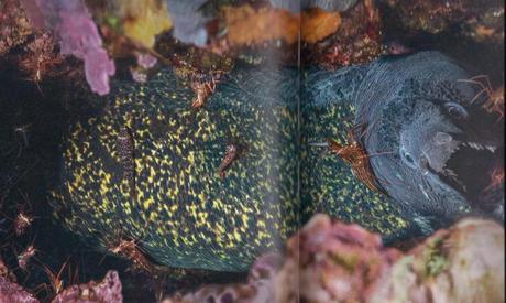 Planète méditerranée Planète méditerranée