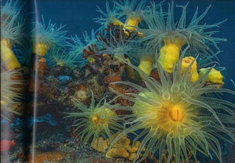 Planète méditerranée Planète méditerranée