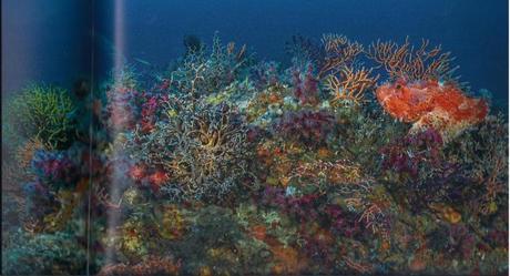 Planète méditerranée Planète méditerranée