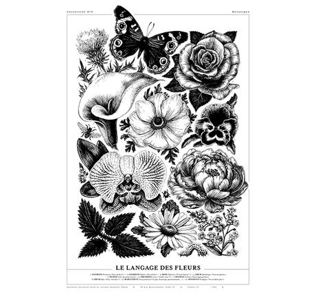 Amandine Delaunay Le langage des fleurs