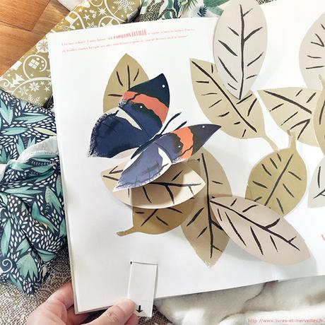 Album pop-up : Papillons illusions Album pop-up : Papillons illusions