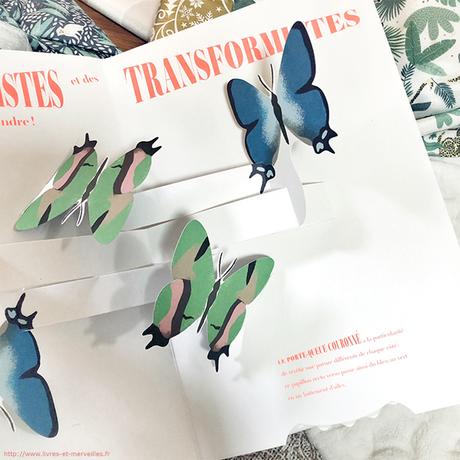 Album pop-up : Papillons illusions Album pop-up : Papillons illusions