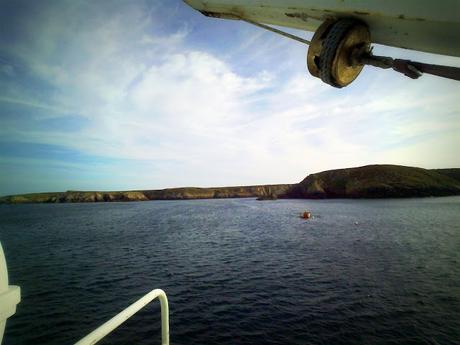 c'est tout comme c'est tout comme