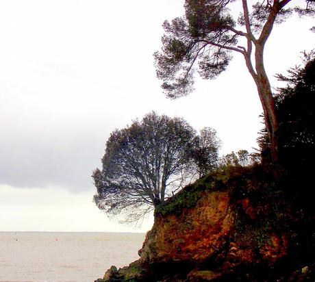 c'est tout comme c'est tout comme