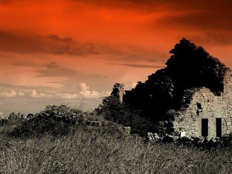 c'est tout comme c'est tout comme