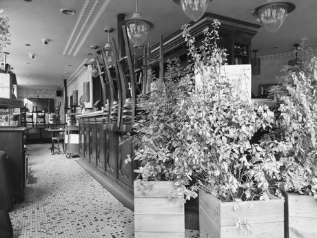 nos confinements (15)