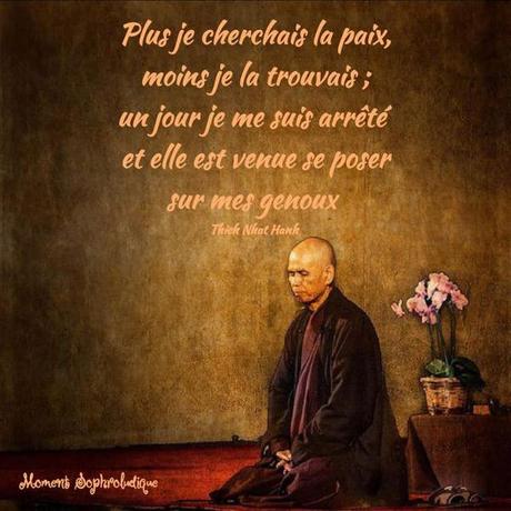 En cherchant la paix + cadeau