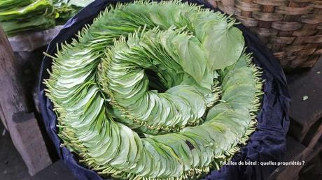 Pays Etranger - La Birmanie