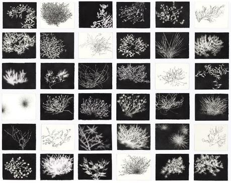 Jennifer Keeler-Milne