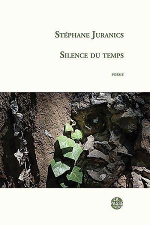 Stéphane Juranics, Silence du temps