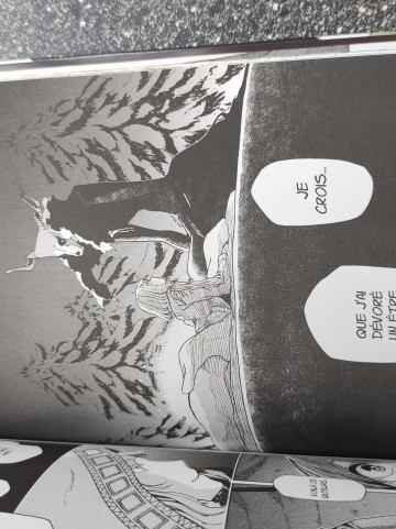 Vendredi manga #79 – The Ancient Magus Bride #4 » Kore Yamazaki