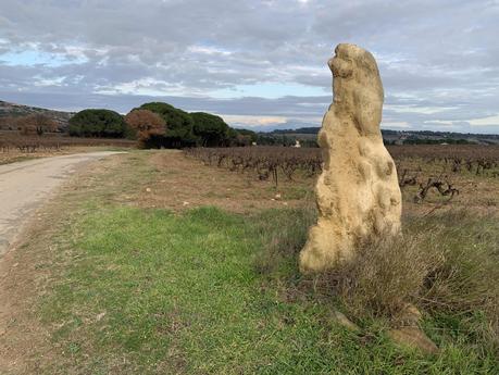 Vacances et vignes gardoises endormies