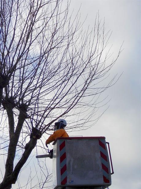 le vrai est un moment du faux