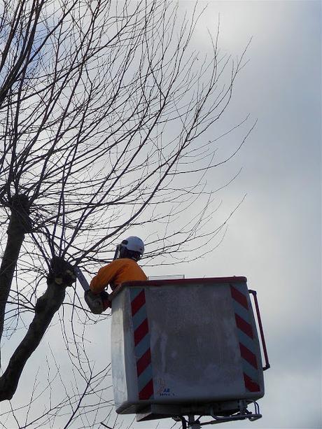 le vrai est un moment du faux