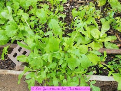 Plat estival en décembre ! (Vegan)