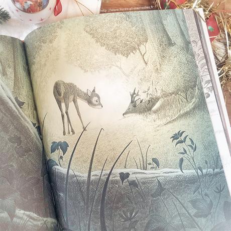 Bambi une vie dans les bois Bambi une vie dans les bois