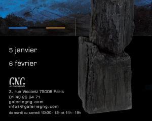 Galerie GNG  exposition François Neveux à partir du mardi 5 Janvier 2021