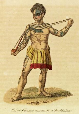 Jules-et-edouard-verreaux-1832-325-470