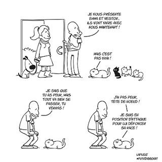 Putain de Chat tome 7, un titre qui a du chien.