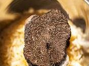 Pour sublimer truffe noire Périgord, rien mieux qu'une bonne purée