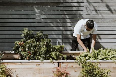 Jardiner dans son jardin, sa terrasse ou son balcon 