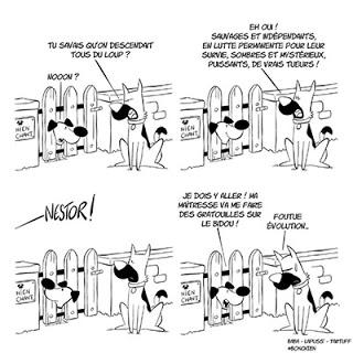 Bon chien ! Tome 1, la BD à sa mémère