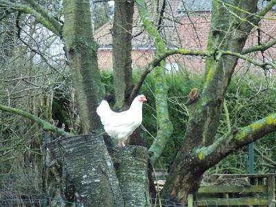 Calendrier lunaire Janvier Février 2021 Calendrier lunaire Janvier Février 2021